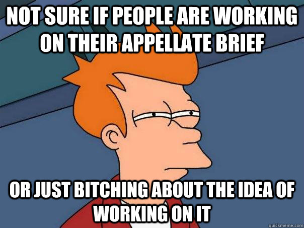 not sure if people are working on their Appellate Brief or just bitching about the idea of working on it  Futurama Fry