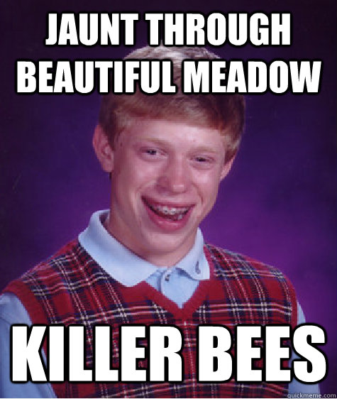 jaunt through beautiful meadow killer bees  Bad Luck Brian