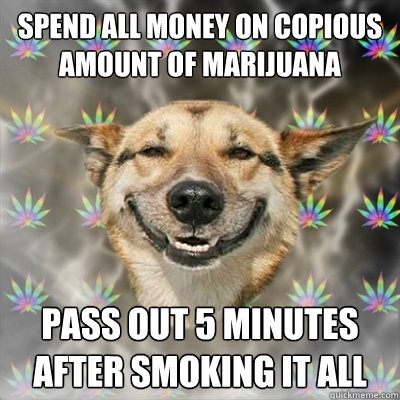 SPEND ALL MONEY ON COPIOUS AMOUNT OF MARIJUANA PASS OUT 5 MINUTES AFTER SMOKING IT ALL  Stoner Dog