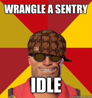 Wrangle a sentry Idle  