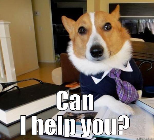 Professor Help -  CAN I HELP YOU? Lawyer Dog