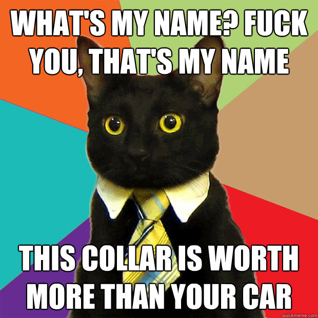 What's my name? Fuck you, that's my name THIS collar is worth more than your car  Business Cat