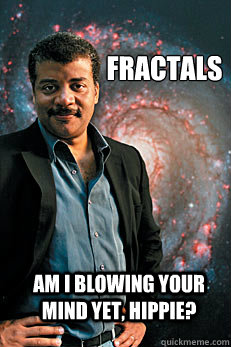 Fractals Am I blowing your mind yet, hippie?  Neil deGrasse Tyson