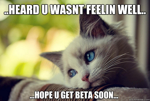 ..heard u wasnt feelin well.. ...hope u get beta soon...  First World Problems Cat