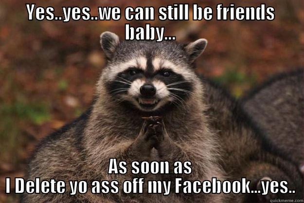 YES..YES..WE CAN STILL BE FRIENDS BABY... AS SOON AS I DELETE YO ASS OFF MY FACEBOOK...YES.. Evil Plotting Raccoon