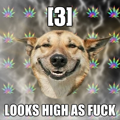 [3] looks high as fuck  Stoner Dog