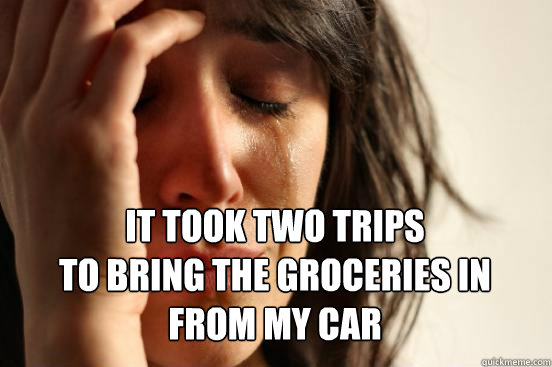 
 it took two trips 
to bring the groceries in 
from my car - 
 it took two trips 
to bring the groceries in 
from my car  First World Problems