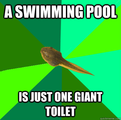 a swimming pool  is just one giant toilet  