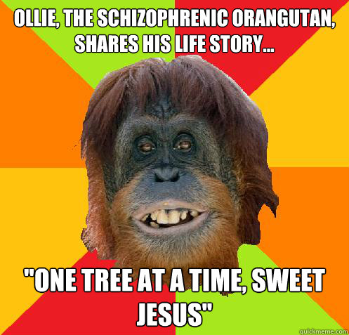 ollie, the schizophrenic orangutan, shares his life story... 