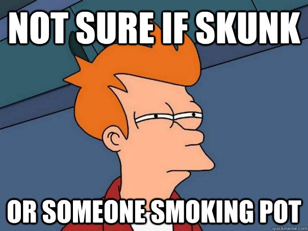 Not sure if skunk Or someone smoking pot  Futurama Fry