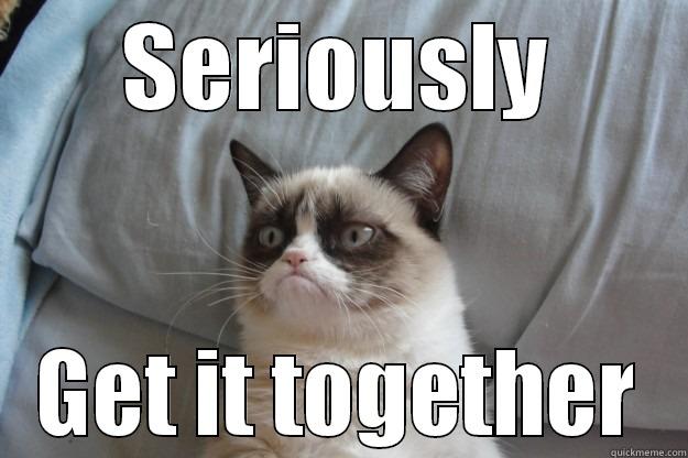 SERIOUSLY GET IT TOGETHER Grumpy Cat