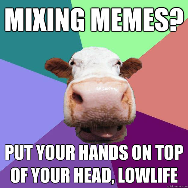 MIXING MEMES? PUT YOUR HANDS ON TOP OF YOUR HEAD, LOWLIFE  Meme Police Cow