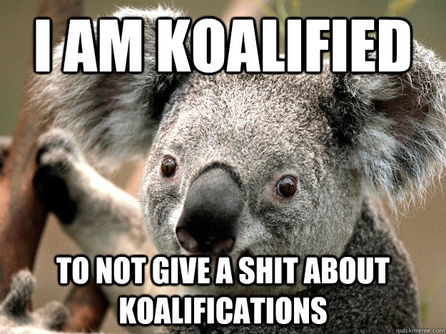 i am koalified to not give a shit about koalifications  