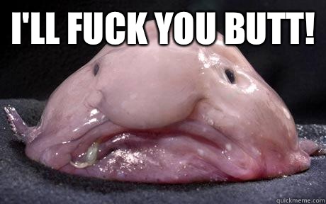 I'll fuck you butt!  - I'll fuck you butt!   Douchebag Blobfish