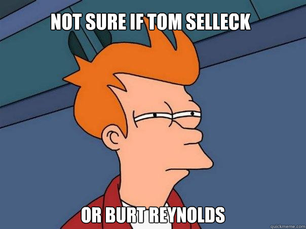 Not sure if Tom Selleck or burt reynolds  Futurama Fry