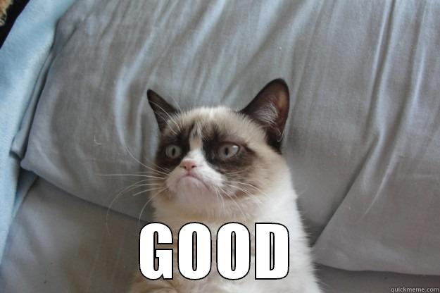 grumpy cat says good -  GOOD Grumpy Cat