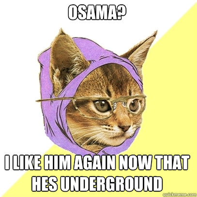 OSAMA? I LIKE HIM AGAIN NOW THAT HES UNDERGROUND  Hipster Kitty