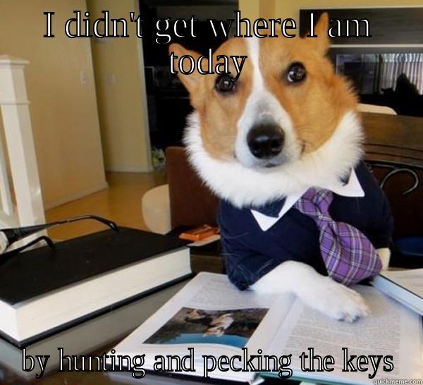 I DIDN'T GET WHERE I AM TODAY BY HUNTING AND PECKING THE KEYS Lawyer Dog