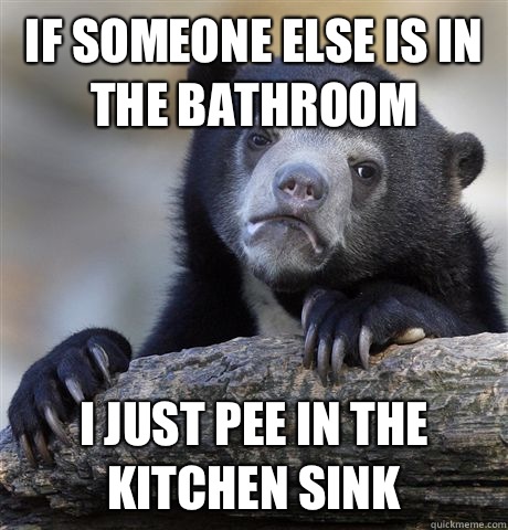 If someone else is in the bathroom I just pee in the kitchen sink  Confession Bear