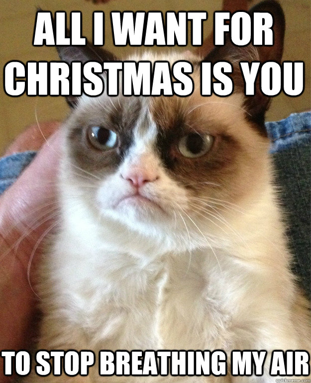 all i want for christmas is you to stop breathing my air  Grumpy Cat