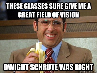 these glasses sure give me a great field of vision dwight schrute was right  Brick Tamland