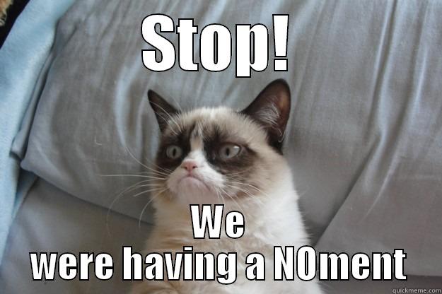 STOP! WE WERE HAVING A NOMENT Grumpy Cat