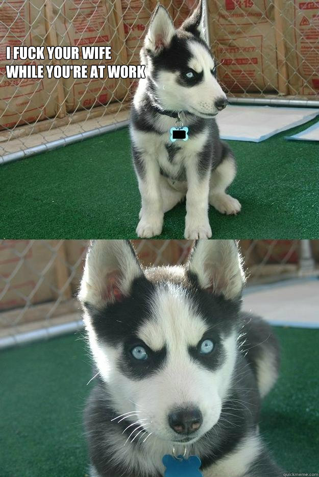 i fuck your wife 
while you're at work   Insanity puppy