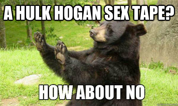 a hulk hogan sex tape?  - a hulk hogan sex tape?   How about no bear