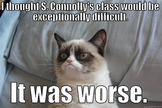 I THOUGHT S. CONNOLLY'S CLASS WOULD BE EXCEPTIONALLY DIFFICULT. IT WAS WORSE. Grumpy Cat