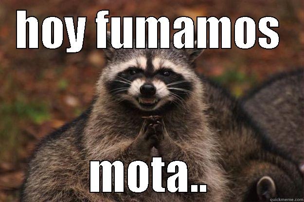 HOY FUMAMOS MOTA.. Evil Plotting Raccoon