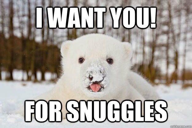 I want you! For snuggles - I want you! For snuggles  Polar Bear Junkie