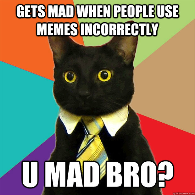 Gets mad when people use memes incorrectly U Mad bro?  Business Cat