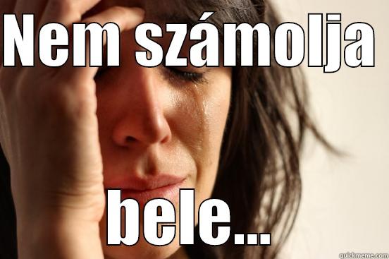 NEM SZÁMOLJA  BELE... First World Problems