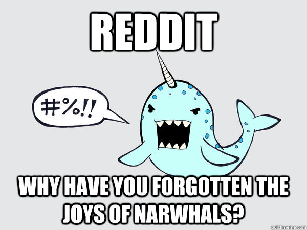 reddit why have you forgotten the joys of narwhals?  