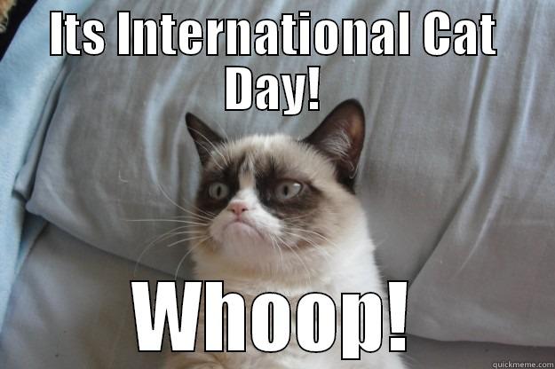 ITS INTERNATIONAL CAT DAY! WHOOP! Grumpy Cat