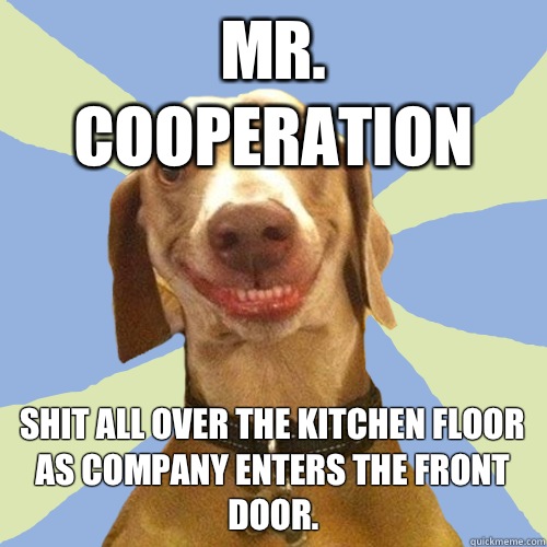 Mr. Cooperation Shit all over the kitchen floor as company enters the front door.  Disgusting Doggy