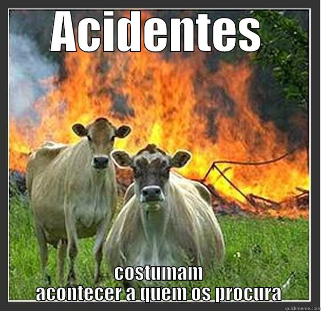 ACIDENTES COSTUMAM ACONTECER A QUEM OS PROCURA Evil cows