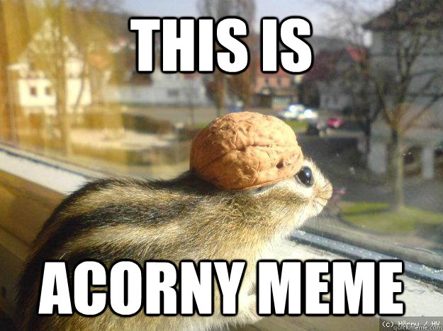 This is acorny meme - This is acorny meme  Adventure Chipmunk