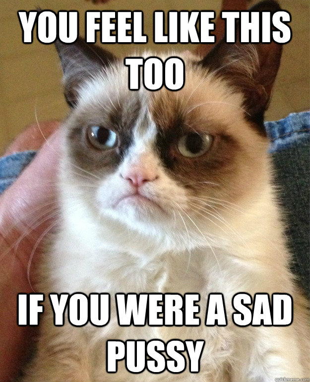 You feel like this too  if you were a sad pussy  Grumpy Cat