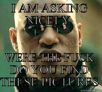 I am asking nicely - I AM ASKING NICELY  WERE THE FUCK DO YOU FIND THESE PICTURES Matrix Morpheus