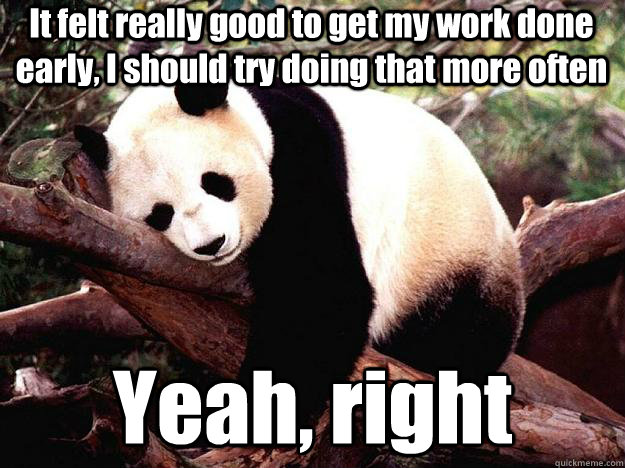 It felt really good to get my work done early, I should try doing that more often Yeah, right  Procrastination Panda