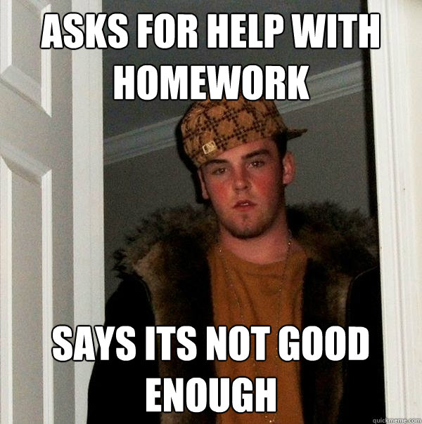 asks for help with homework says its not good enough  Scumbag Steve