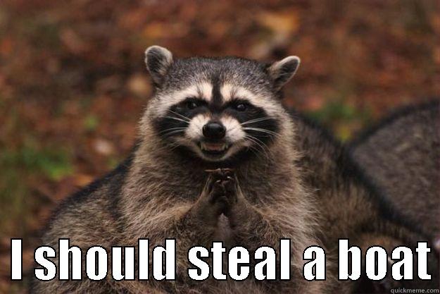    I SHOULD STEAL A BOAT Evil Plotting Raccoon