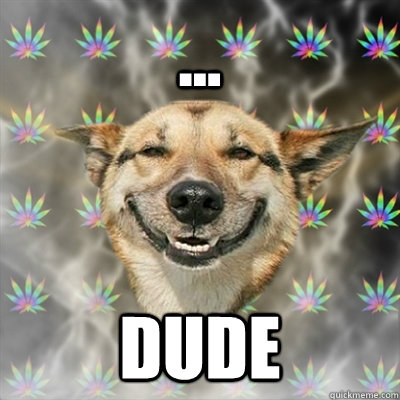 ... Dude  Stoner Dog