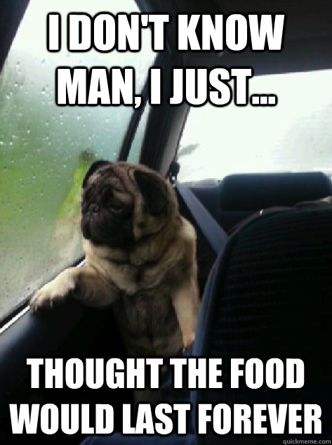 I don't know man, I just... thought the food would last forever  Introspective Pug