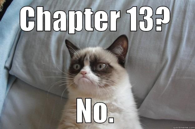 CHAPTER 13? NO. Grumpy Cat