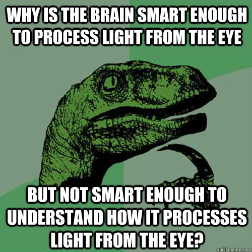 why is the brain smart enough to process light from the eye but not smart enough to understand how it processes light from the eye?  Philosoraptor