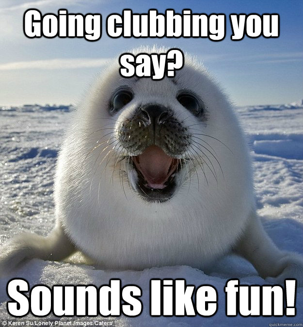 Going clubbing you say? Sounds like fun! - Going clubbing you say? Sounds like fun!  Easily Pleased Seal