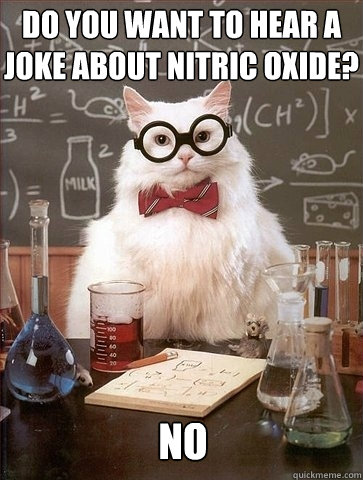 Do you want to hear a joke about Nitric Oxide? NO - Do you want to hear a joke about Nitric Oxide? NO  Chemistry Cat