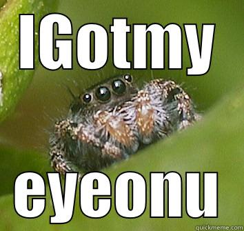 IGOTMY EYEONU Misunderstood Spider